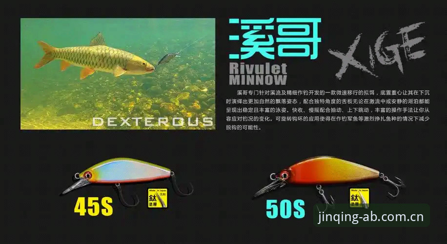 AB体育iOS版下载安装详解：功能评测与使用指南